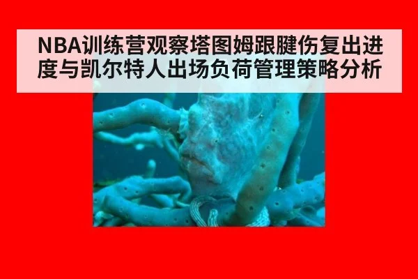 NBA训练营观察塔图姆跟腱伤复出进度与凯尔特人出场负荷管理策略分析