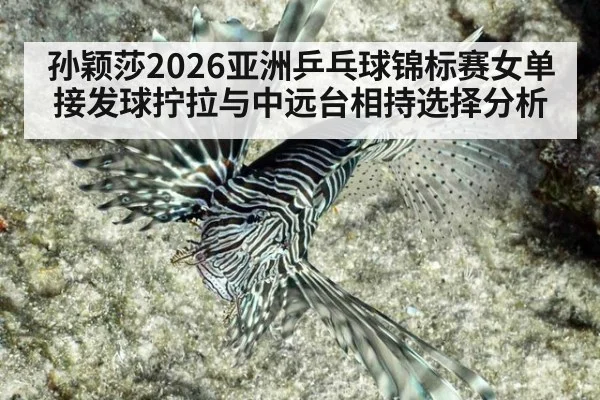 孙颖莎2026亚洲乒乓球锦标赛女单 接发球拧拉与中远台相持选择分析